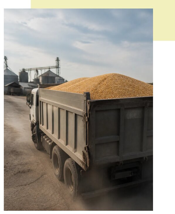 Перевозка сельхозпродукции навалом в Заволжье по цене от 3055 р. | Агросервис-Звл